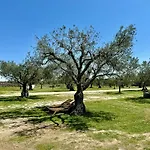 Quinta Do Nobre Marialva