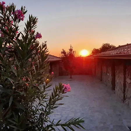 Alloggio per agriturismo Quinta Do Nobre Marialva