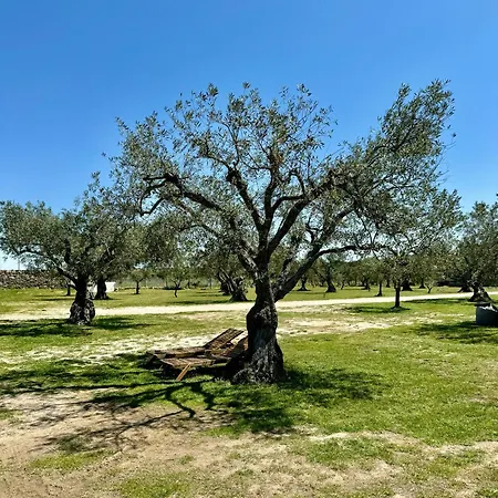 Quinta Do Nobre Marialva