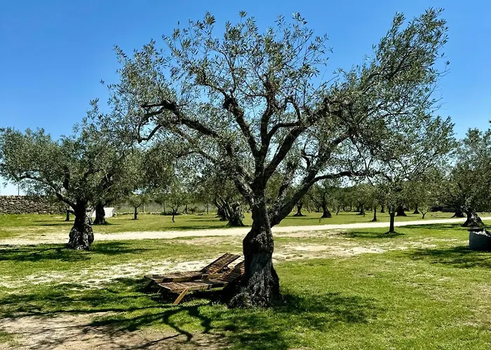 Quinta Do Nobre Мариалва